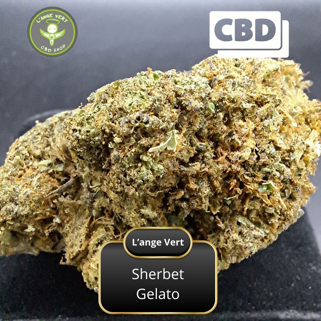 Sherbet Gelato CBD