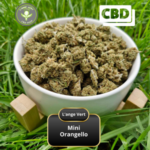 MINI ORANGELLO CBD indoor